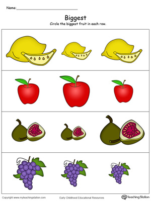 Practice the concept of big, bigger, and biggest. Identify the biggest fruit in this color printable math worksheet.