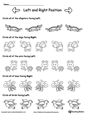 Learn Left and Right directional positions with this animals facing Left and Right printable worksheet.