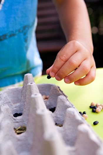 Sorting small objects like beans into an egg carton to improve fine motor skills