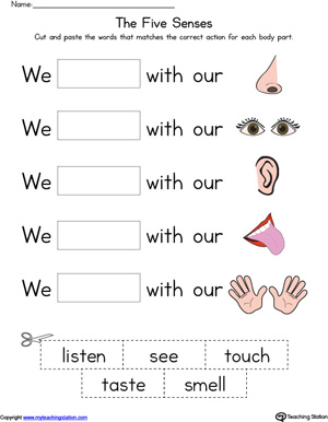kindergarten bisaya worksheets Five Body Senses MyTeachingStation.com Parts kindergarten bisaya worksheets Five Body Senses MyTeachingStation.com Parts