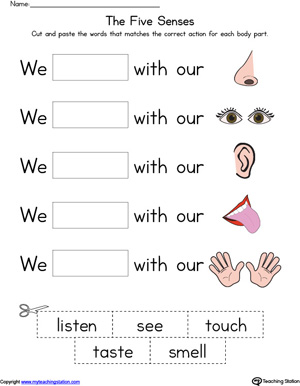 free five senses body parts in color myteachingstation com