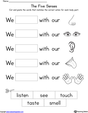 5 senses worksheet preschool