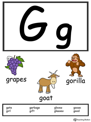 Letter G Alphabet Flash Cards for Preschoolers