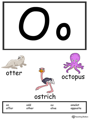 Letter O Alphabet Flash Cards for Preschoolers