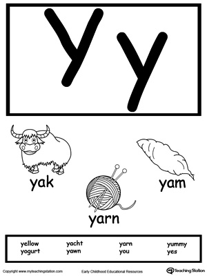 Recognize the sounds and letters at the beginning of words with this Letter Y Printable Alphabet Flash Cards.