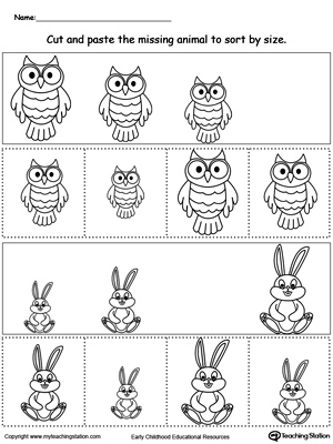 Animal Sorting by Size: Owl and Rabbit