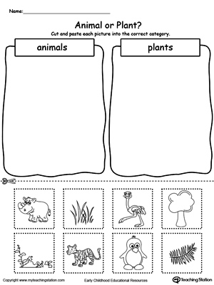 Kindergarten Plants and Animals Printable Worksheets