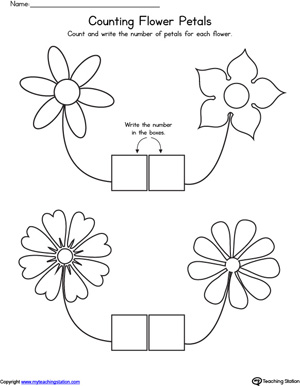 Count Flower Petals Worksheet