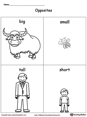 Introduce opposites words such as BIG, SMALL, TALL and SHORT using this printable flashcards to preschool kids. Browse more oppositve flashcards.