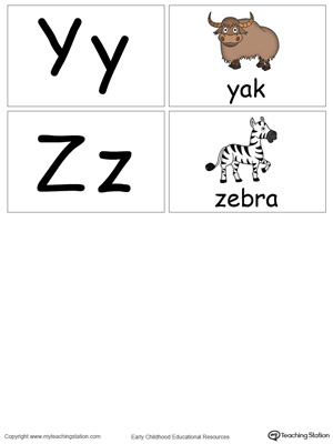 Small alphabet printable flashcards in color for the letters: Y Z.
