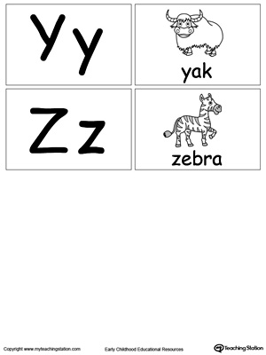 Printable small alphabet letters flashcard: Y Z.