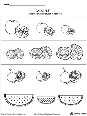 Circle the Small Fruits, Find Big or Small Worksheet for Kids