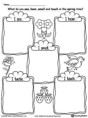Five Senses Body Parts | MyTeachingStation.com