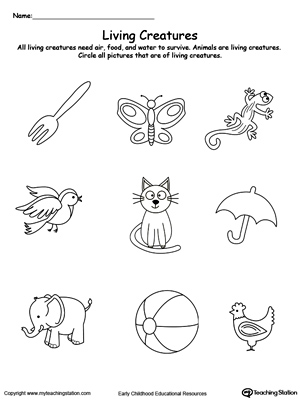 Kindergarten Plants and Animals Printable Worksheets