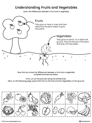 Understanding Fruits and Vegetables