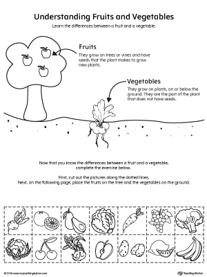 Kindergarten Plants and Animals Printable Worksheets