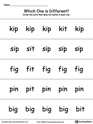 Identify which word is different in this IT Word Family printable worksheet.