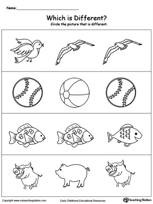 Identify Which Picture is Different