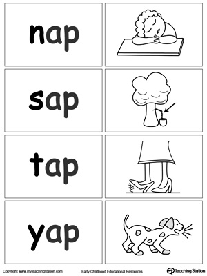 Word-Sort-Game-AP-Words-Page_2-Worksheet.jpg