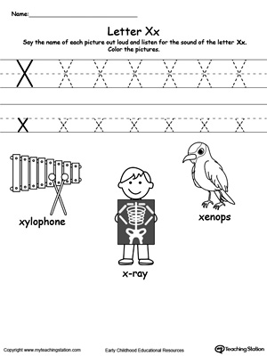 Image result for letter x words