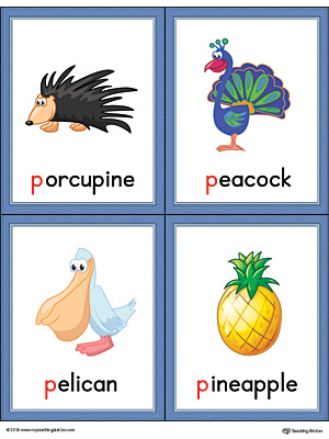 Letter P Words and Pictures Printable Cards: Porcupine, Peacock, Pelican, Pineapple (Color)