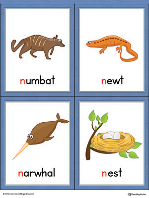 Letter N Words and Pictures Printable Cards: Numbat, Newt, Narwhal, Nest (Color)