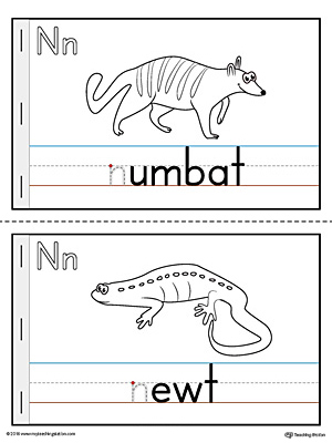 Letter N Mini Book for Kindergarten