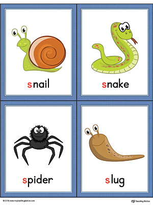 Letter S Words and Pictures Printable Cards: Snail, Snake, Spider, Slug (Color)