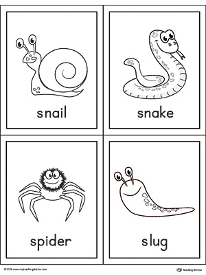 Letter S Words and Pictures Printable Cards: Snail, Snake, Spider, Slug