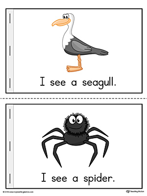 Letter-S-Mini-Book-Seagull-Spider-Color.jpg