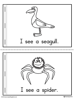 Letter-S-Mini-Book-Seagull-Spider.jpg