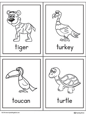 Letter T Words and Pictures Printable Cards: Tiger, Turkey, Toucan, Turtle