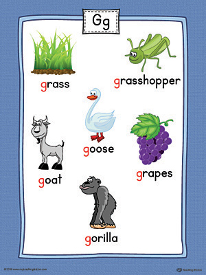 Letter G Word List with Illustrations Printable Poster (Color