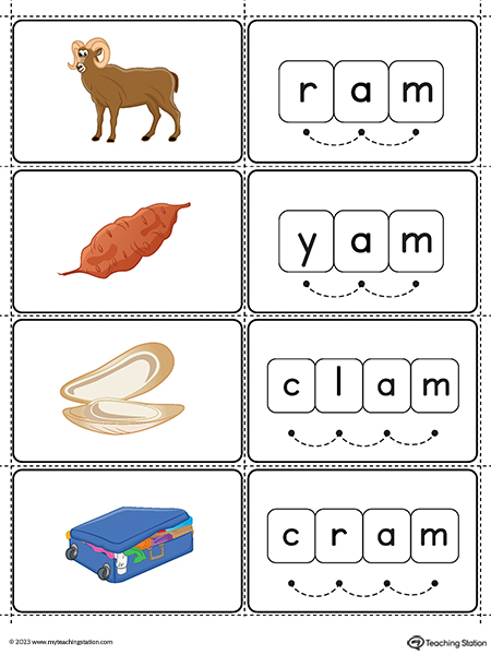 AM-Word-Family-Small-Picture-Cards-Printable-PDF-2.jpg
