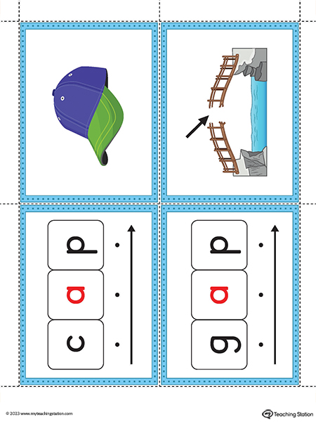 AP Word Family Image Flashcards Printable PDF (Color)