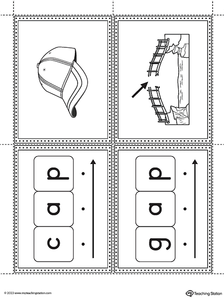 AP Word Family Image Flashcards Printable PDF