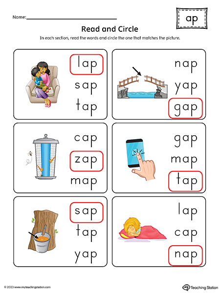 AP-Word-Family-Match-Picture-to-Words-Printable-PDF-Answer-Key.jpg