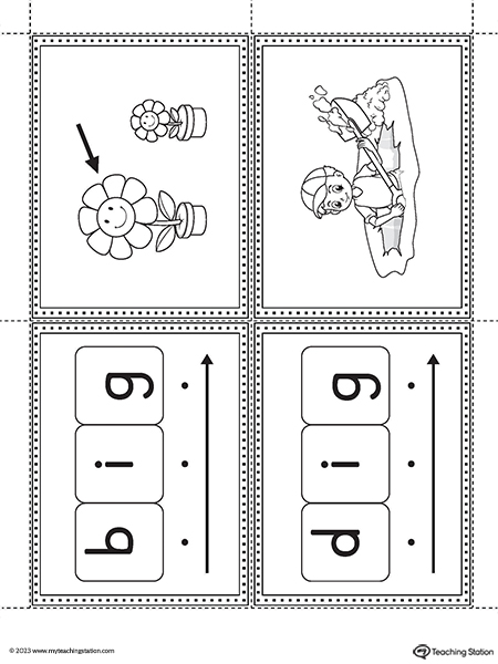 IG Word Family Image Flashcards Printable PDF