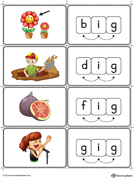 IG Word Family Small Picture Cards Printable PDF (Color)