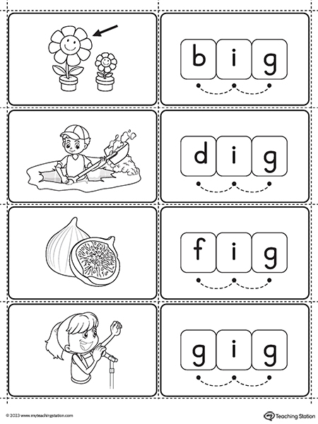 IG Word Family Small Picture Cards Printable PDF