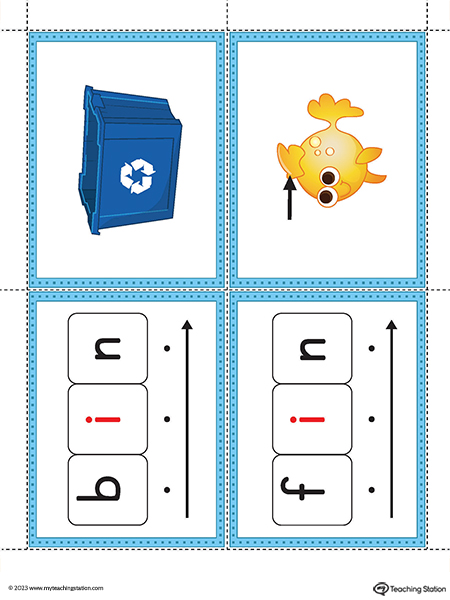 IN Word Family Image Flashcards Printable PDF (Color)