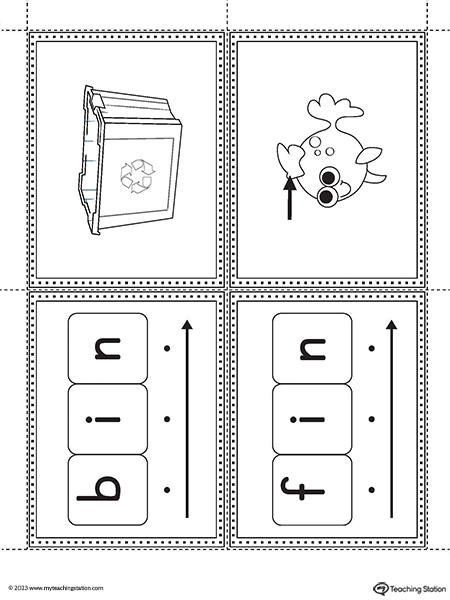 IN Word Family Image Flashcards Printable PDF