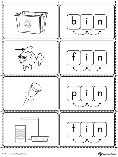 IN Word Family Small Picture Cards Printable PDF