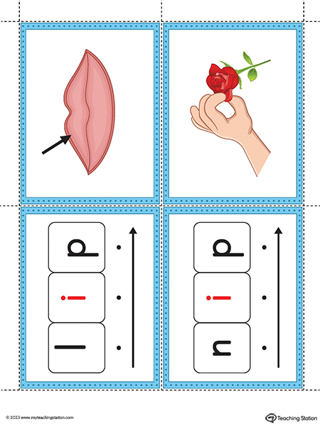 IP-Word-Family-Image-Flashcards-Printable-PDF-2.jpg