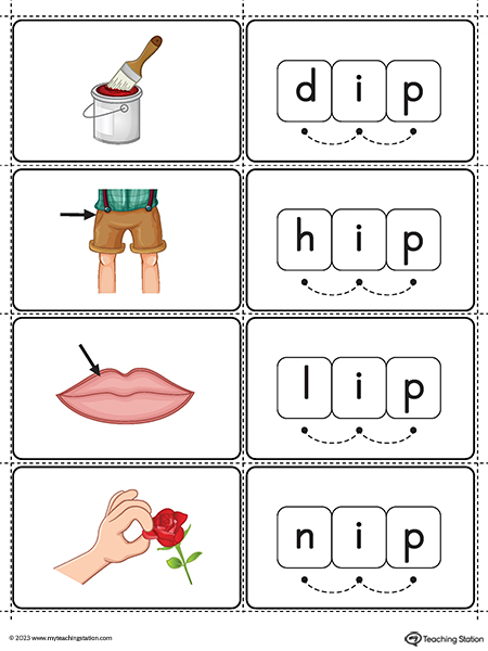 IP Word Family Small Picture Cards Printable PDF (Color)