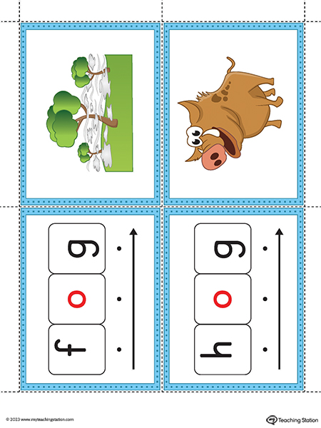 OG-Word-Family-Image-Flashcards-Printable-PDF-2.jpg