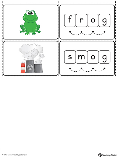 OG-Word-Family-Small-Picture-Cards-Printable-PDF-3.jpg