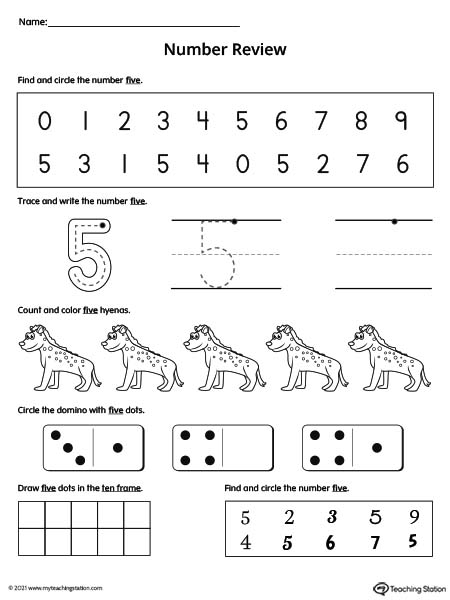 Number 5 Review Worksheet