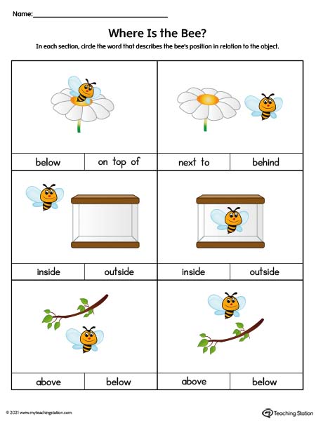 Positional Words Worksheet: On Top Of, Next To, Behind, Inside, Outside, Above, Below (Color)
