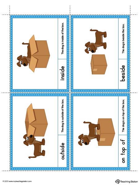 Positional Word Cards: Outside, Inside, On Top Of, Beside (Color)